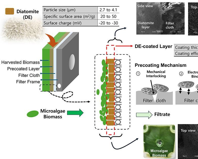 논문 관련 내용