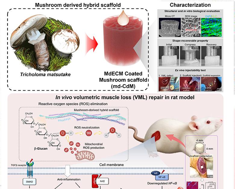논문 관련 내용